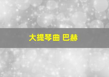 大提琴曲 巴赫